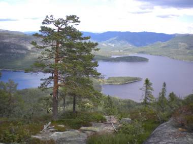 Telemark Inn - Hytte