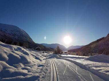 Jølsterlia Hyttetun