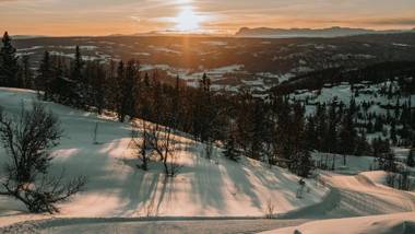 Danebu Kongsgaard - Boutique Hotel