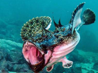 Holiday home FOLDRØYHAMN