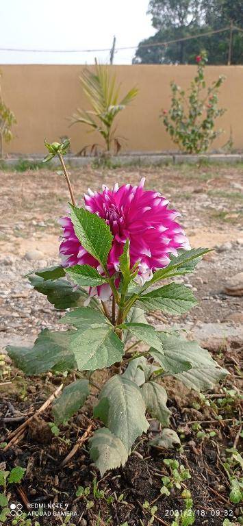 Hotel National Park Sauraha