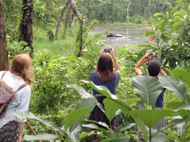 Hotel Chitwan Park Village