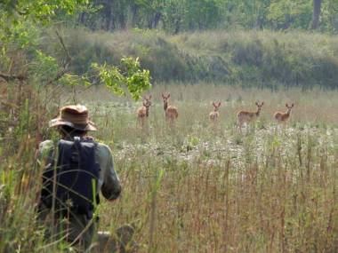 Racyshade Resort- Bardia National Park