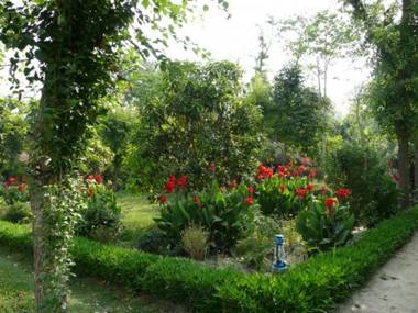 Racyshade Resort- Bardia National Park