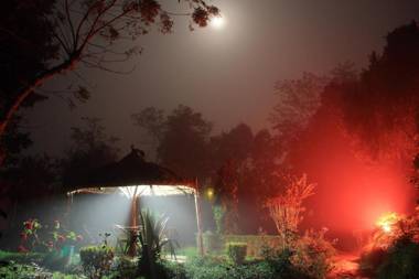 Bardia Wildlife Resort