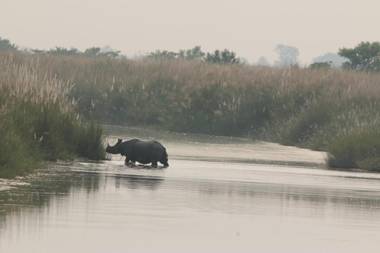 Wild Planet Eco Retreat