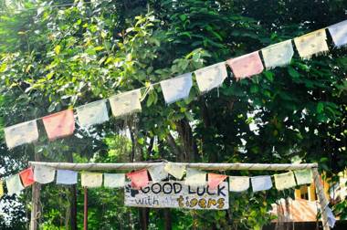 Sunsetview cafe & jungle bar