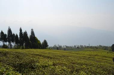 Shree Antu Community Homestay