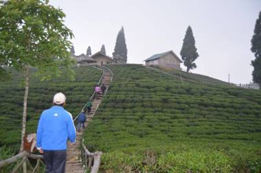 Shree Antu Community Homestay