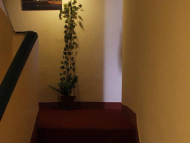 Hotel Holy Temple Tree