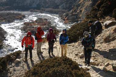 Hotel Himalayan Oasis