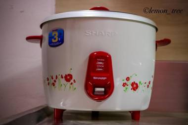 Lemon Tree Apartment & Home-stay