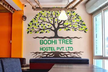 Bodhi Tree Hostel