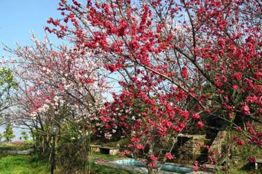 Mirabel Hotel Resort