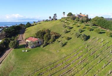 The Vineyard Cottage