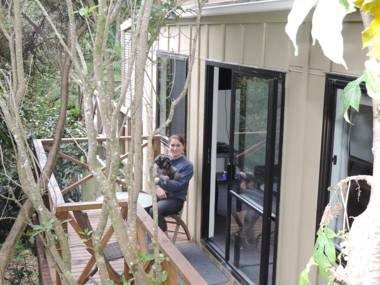 Waiheke Island Punga Lodge