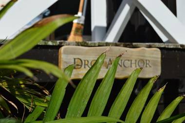 Drop Anchor at Enclosure Bay Beach by Waiheke Unlimited