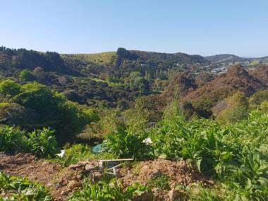 Wild Days Accommodation