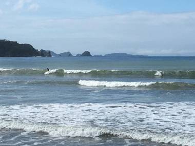 Waterfront Apartments Whitianga