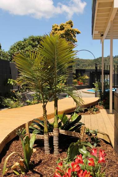 Oceans 88 Whitianga Coastal Suites