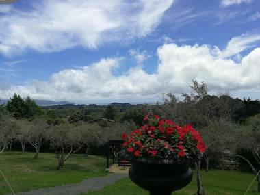 Apartment 45 @ Noble Estate