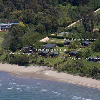 Adrift In Golden Bay