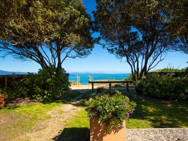 Beach Tata - Golden Bay Bach (Tata Beach)