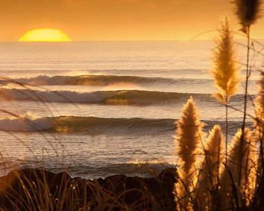 Longitude Apartments Raglan