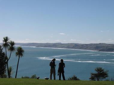 Longitude Apartments Raglan