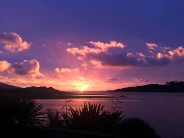 Longitude Apartments Raglan