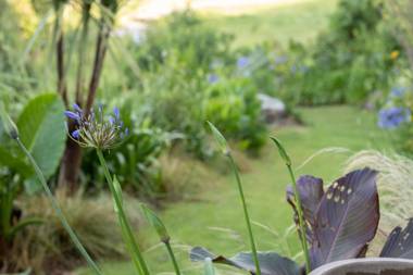 BUTLERS LANE - THE STUDIO