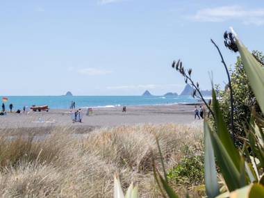 THE BOAT HOUSE ON DIXON