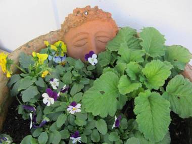 Welbourn Accommodation