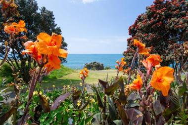 SEA BREEZE ON BELT - BY COASTAL WALKWAY