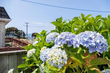 SEA BREEZE ON BELT - BY COASTAL WALKWAY