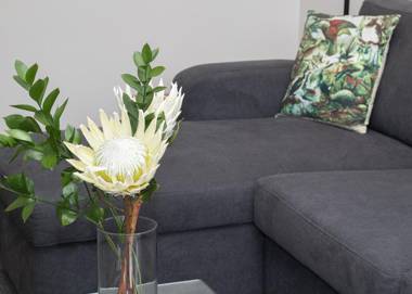 BY THE SEA ON SACKVILLE - BRAND NEW APARTMENT