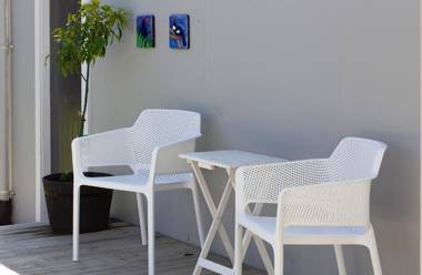 MICHELIA FIGO COTTAGE