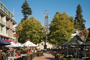 City Terrace Apartment