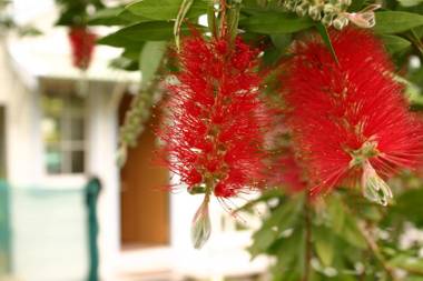 Bluff Hill Bed & Breakfast