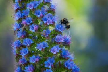 Tasman Village Cottage