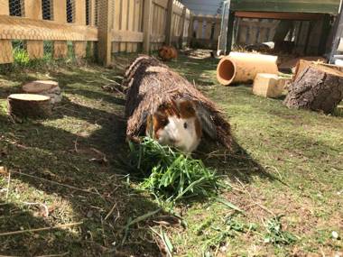 Tailor Made Tekapo Accommodation - Guesthouse & Hostel