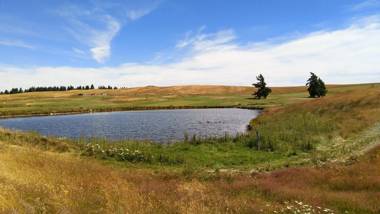 Galaxy Lakeview House