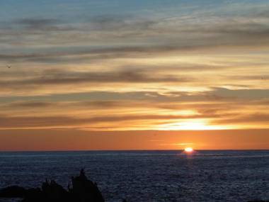 Admiral Court Motel Kaikoura