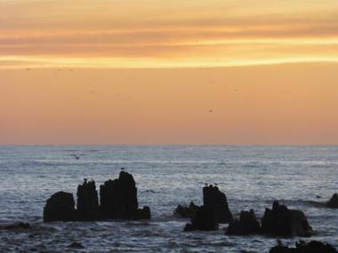 Admiral Court Motel Kaikoura