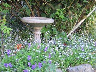 Brook House B&B & Cottages