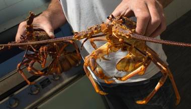 Sierra Beachfront Motel