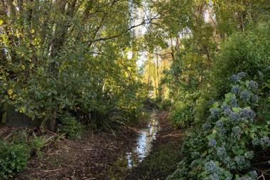 Folster Gardens Bed and Breakfast