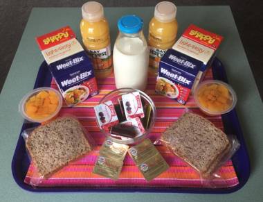 Tussock Peak Motor Lodge