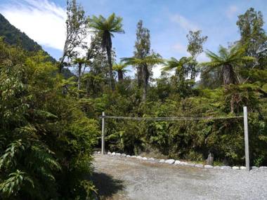 Franz Josef Treetops