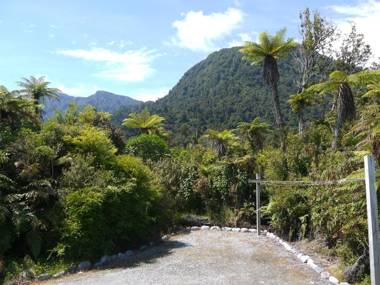 Franz Josef Treetops